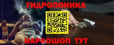 соль ск Свободный