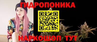 соль ск Свободный