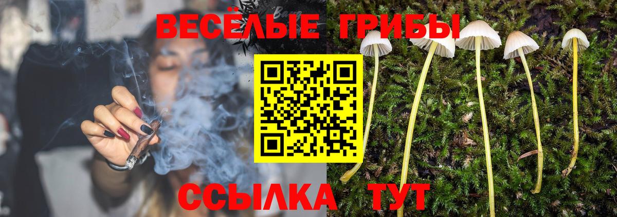 Соль-Илецк  Галлюциногенные грибы Psilocybe  Вход с VPN  Псилоцибиновые грибы мицелий 